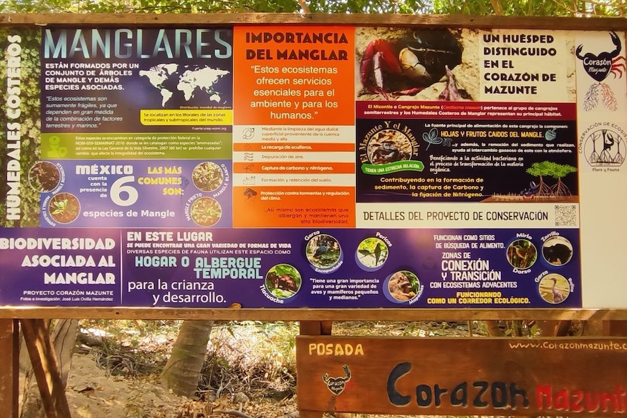 CASA CORAZÓN 15